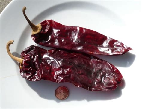 difference between ancho and guajillo chiles
